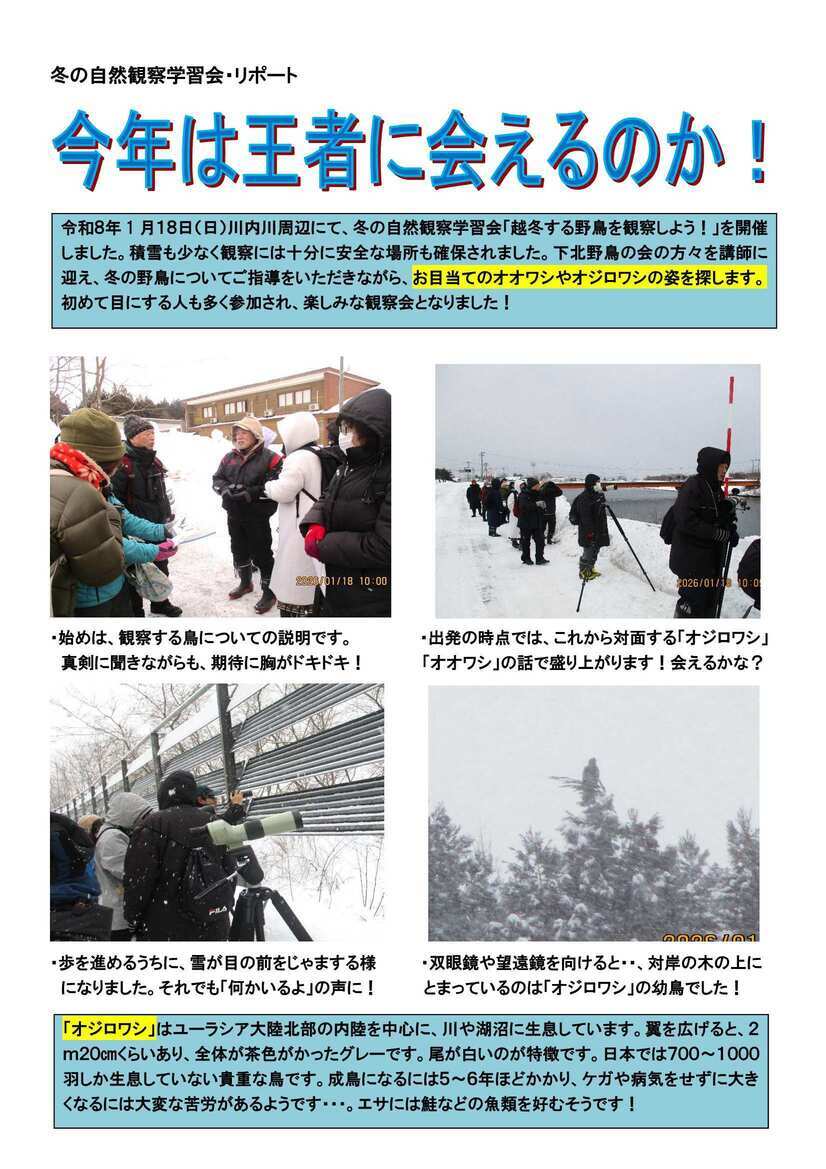 令和7年度自然観察学習会　冬のリポート１