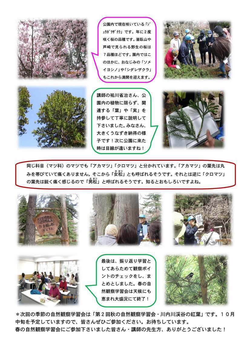 令和7年度自然観察学習会　春リポート2