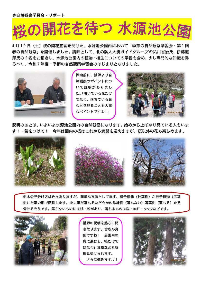 令和7年度自然観察学習会　春リポート１